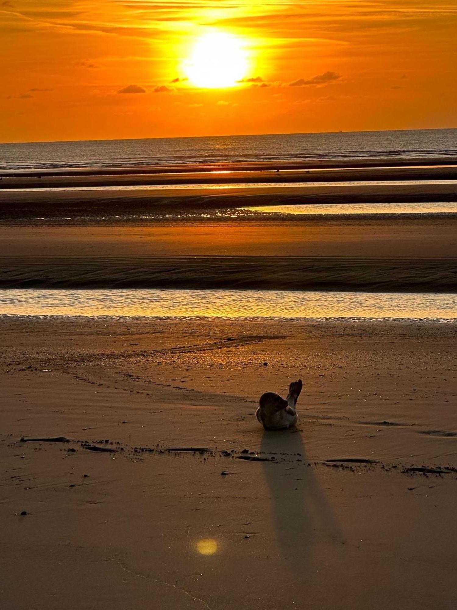 Penthouse Vakantielust Blankenberge Zewnętrze zdjęcie